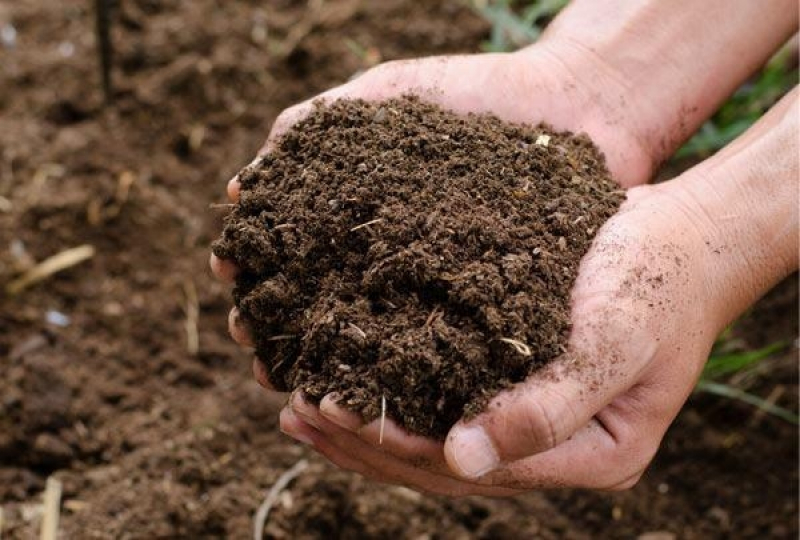 Análise Química de Solo para Metais Pesados Santa Rita Do Passa Quatro - Análise de Traços e Química Ambiental