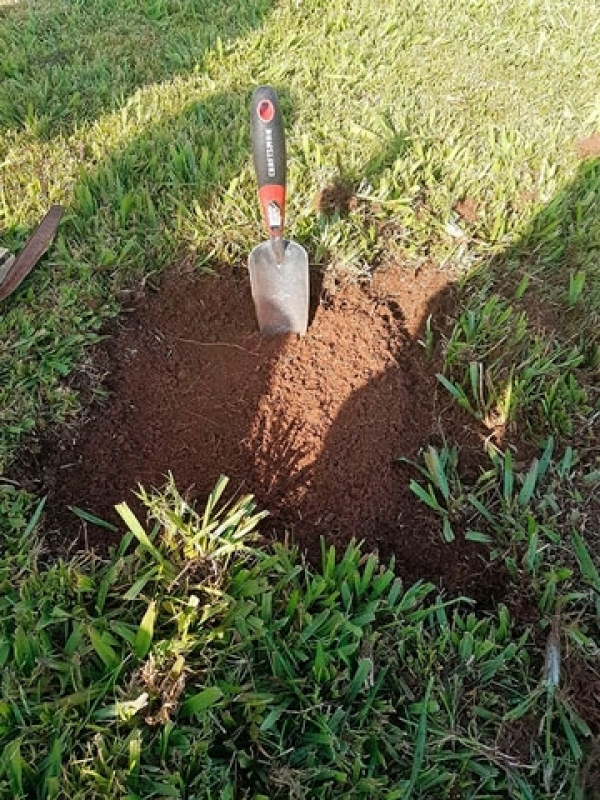 Empresa de Análise de Textura do Solo Parque Novo Lar - Análise de Solo Contaminado