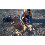 onde encontro análise química de solo para metais pesados Parque Novo Lar