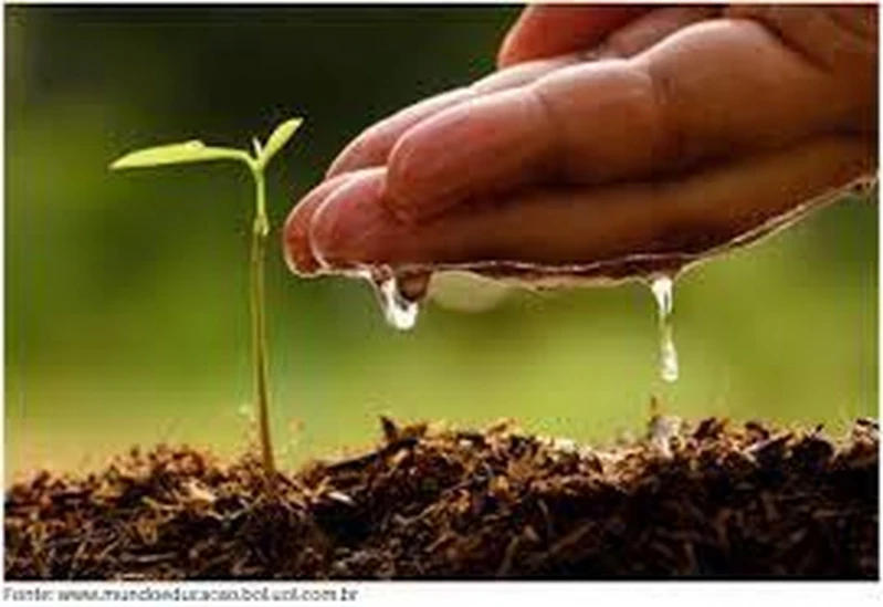 análise físico química ambiental