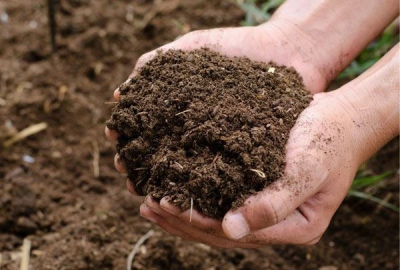 análise química ambiental